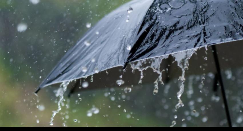 More showers expected today (04)
